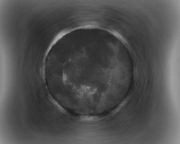 X0000085221374200703091151