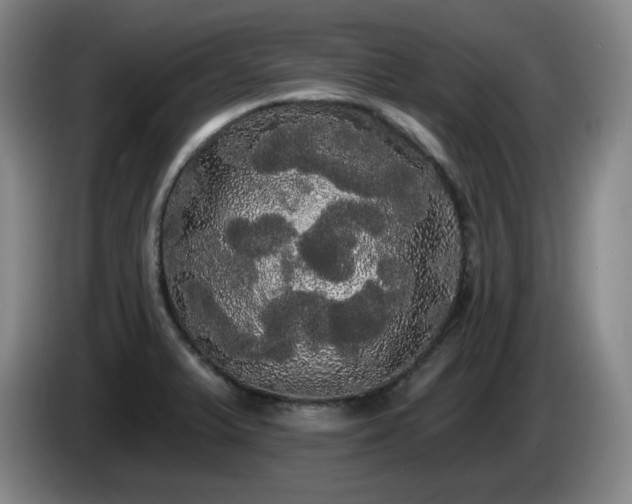 X0000085221375200703091151