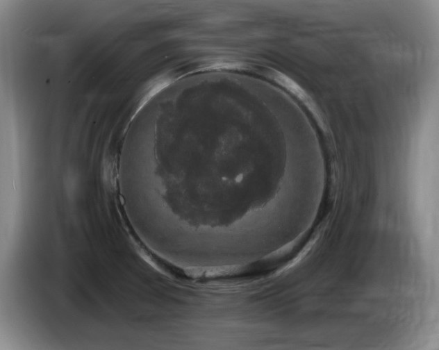 X0000085221377200703091151