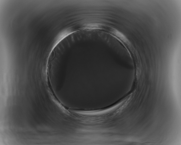 X0000085221378200703091151