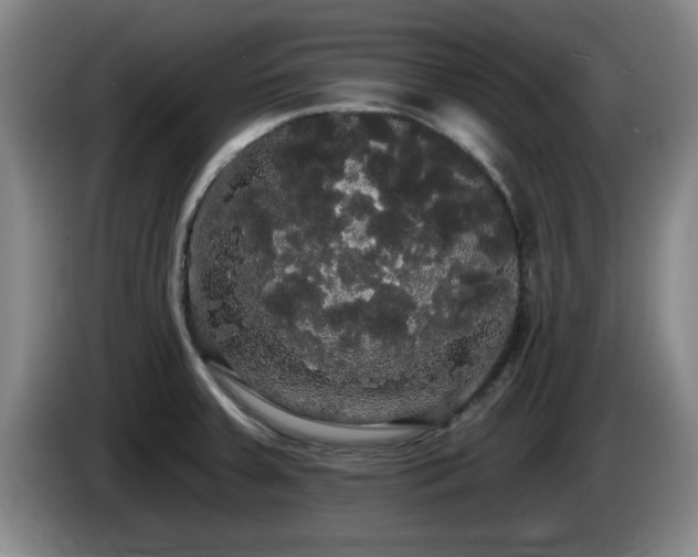X0000085221379200703091151