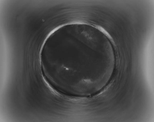 X0000085221380200703091151