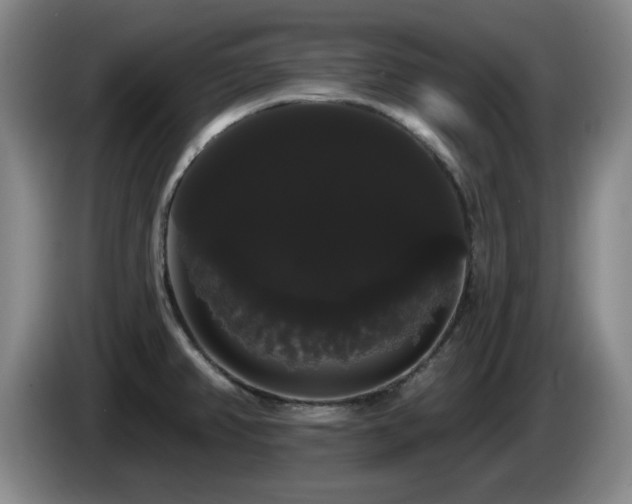 X0000085221382200703091151