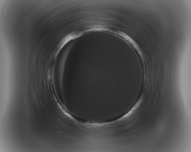 X0000085221385200703091150