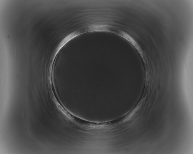 X0000085221386200703091150