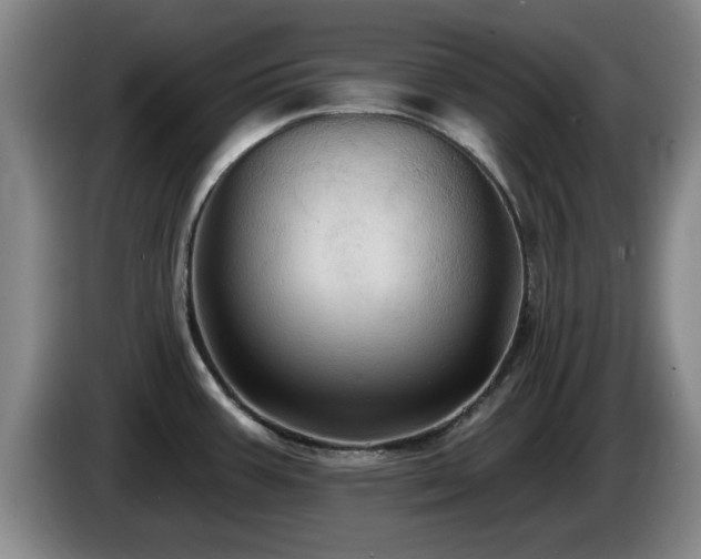 X0000085221387200703091150