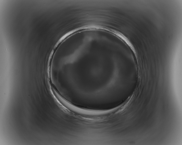 X0000085221388200703091150
