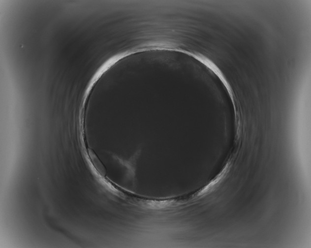 X0000085221389200703091150