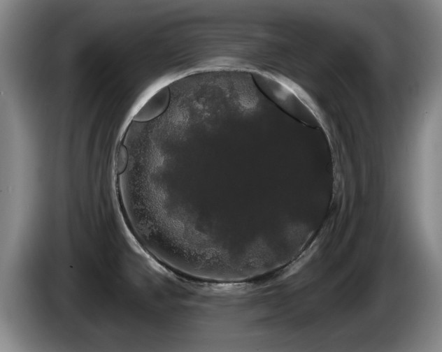 X0000085221390200703091150