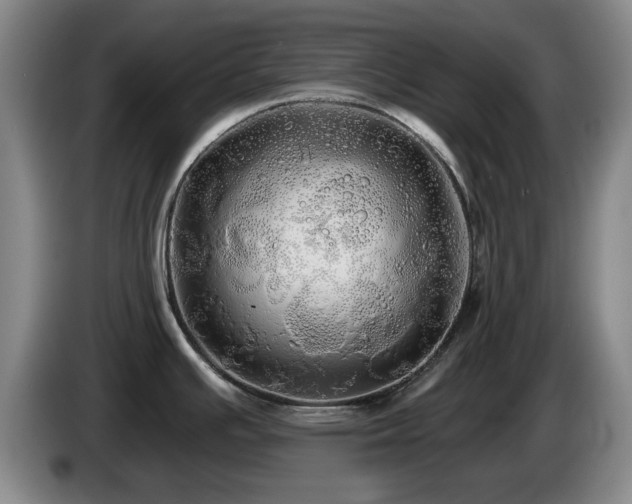 X0000085221391200703091150