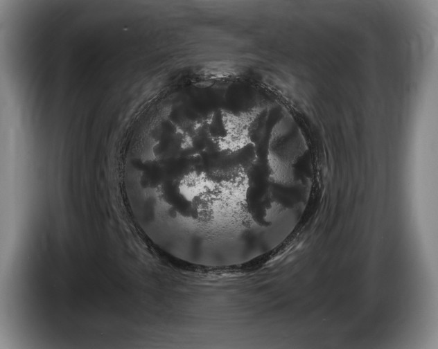 X0000085221393200703091150
