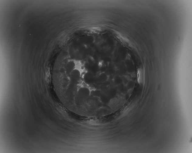 X0000085221395200703091150