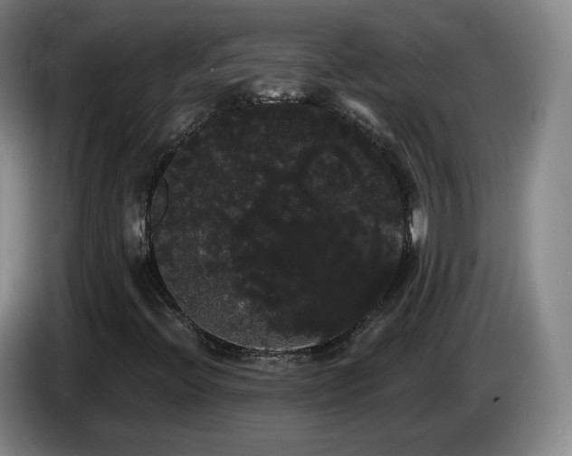 X0000085221396200703091150
