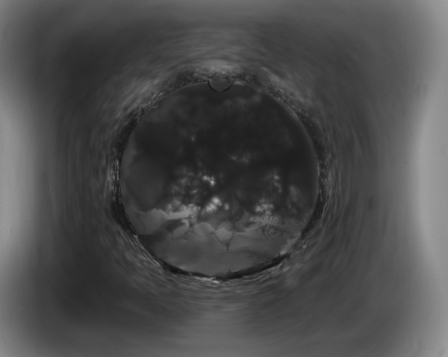 X0000085221397200703091150