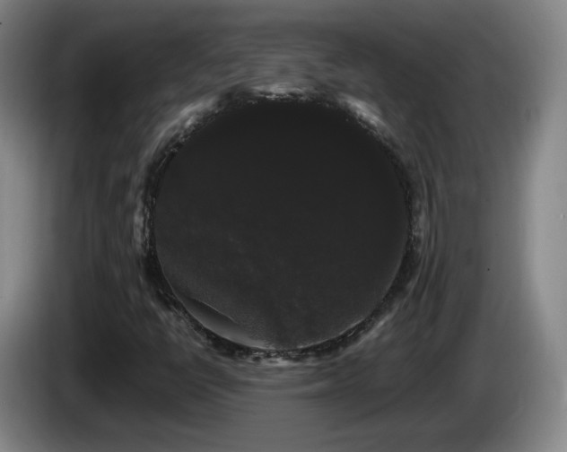 X0000085221398200703091150