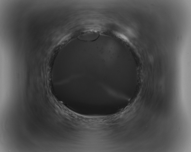 X0000085221399200703091150