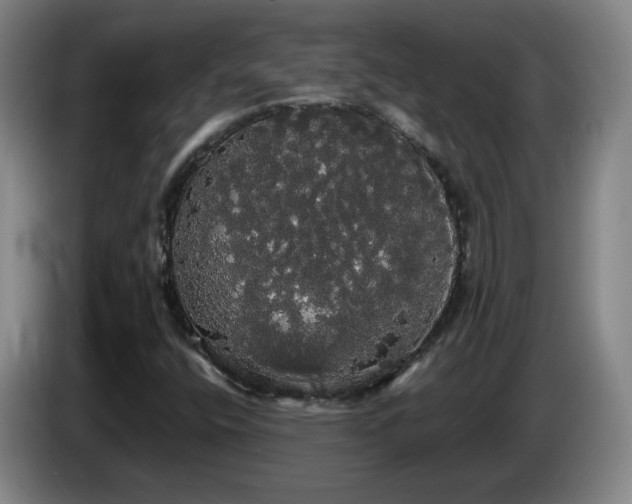 X0000085221400200703091150
