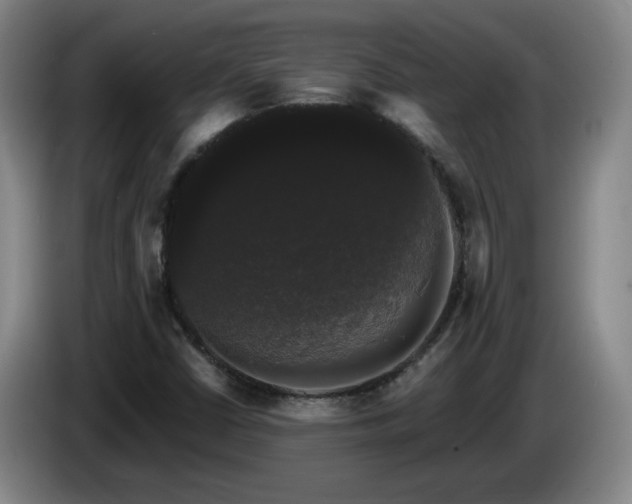 X0000085221402200703091150