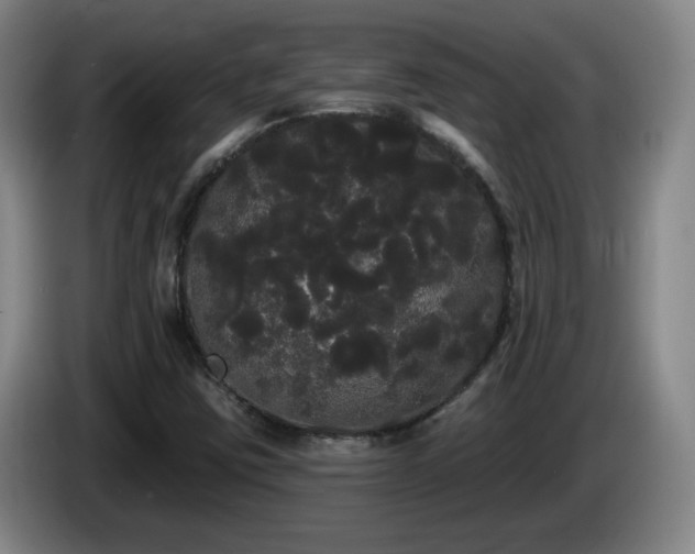 X0000085221403200703091150