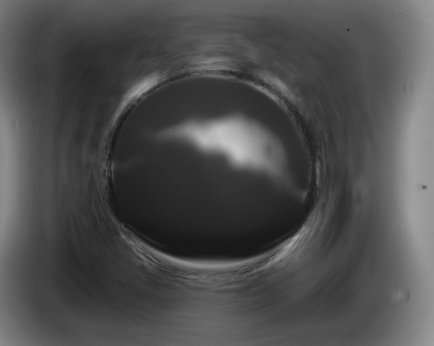 X0000085221405200703091150