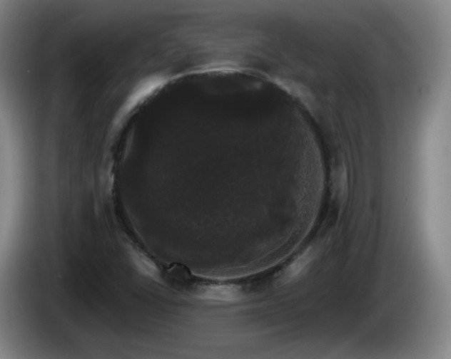 X0000085221406200703091150