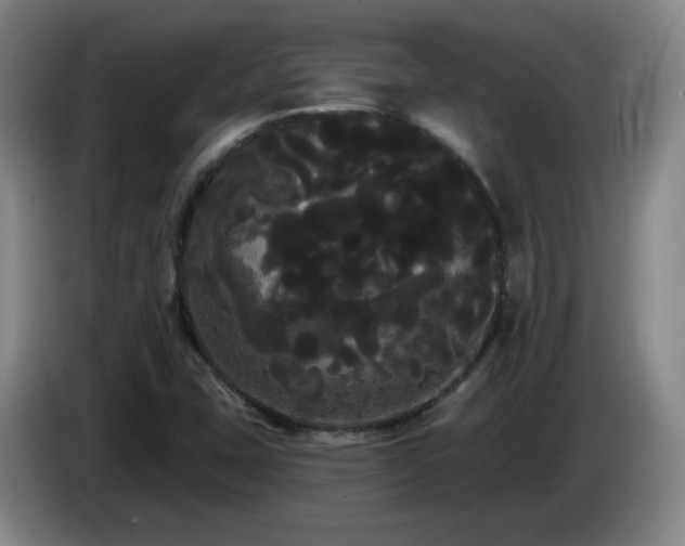X0000085221407200703091150