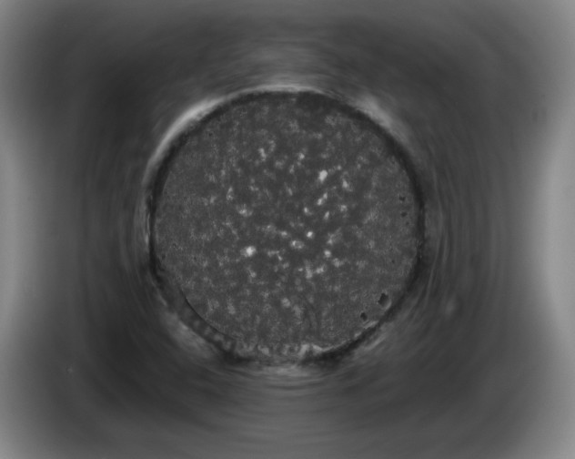 X0000085221408200703091150