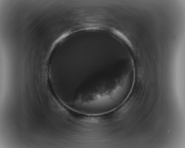 X0000085221411200703091150