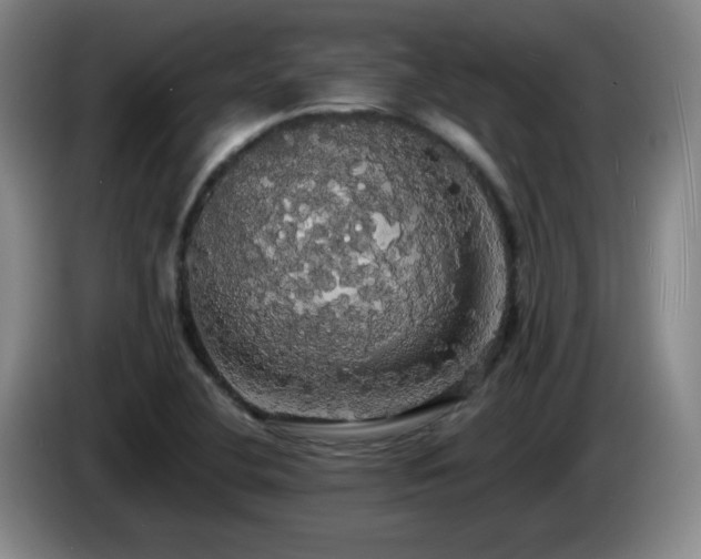 X0000085221412200703091150