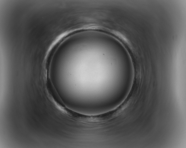 X0000085221414200703091150
