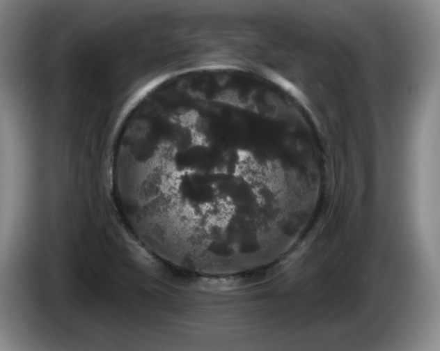 X0000085221415200703091150