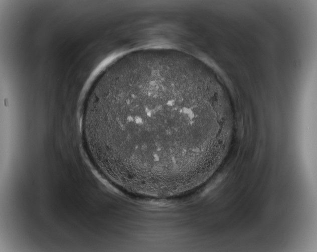 X0000085221416200703091150