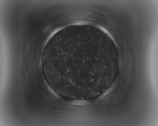 X0000085221417200703091150