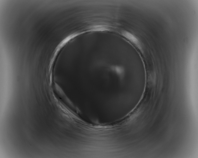 X0000085221419200703091150