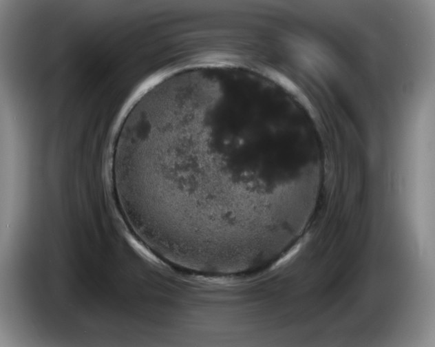 X0000085221421200703091150