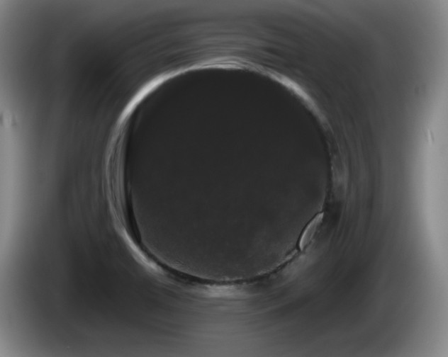 X0000085221422200703091150