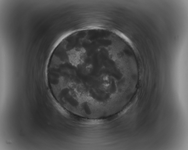 X0000085221423200703091150