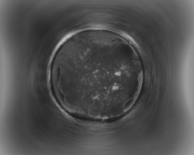 X0000085221424200703091150