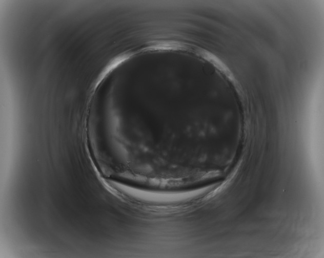 X0000085221425200703091150