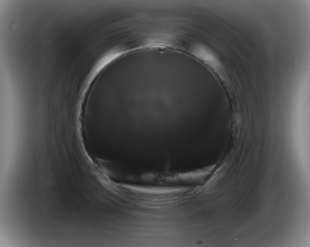 X0000085221427200703091150