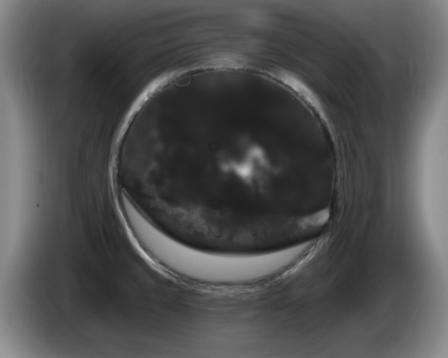 X0000085221429200703091150