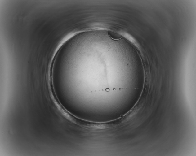 X0000085221431200703091150