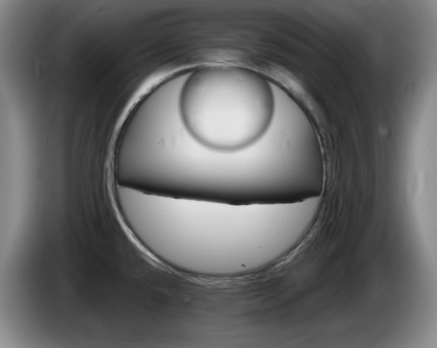 X0000085221432200703091150