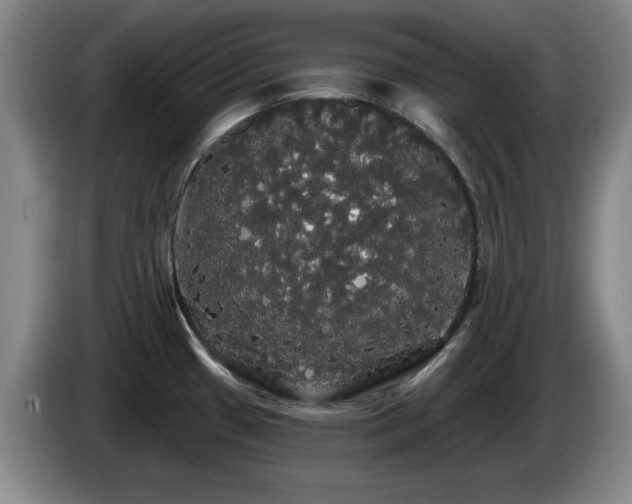 X0000085221433200703091150
