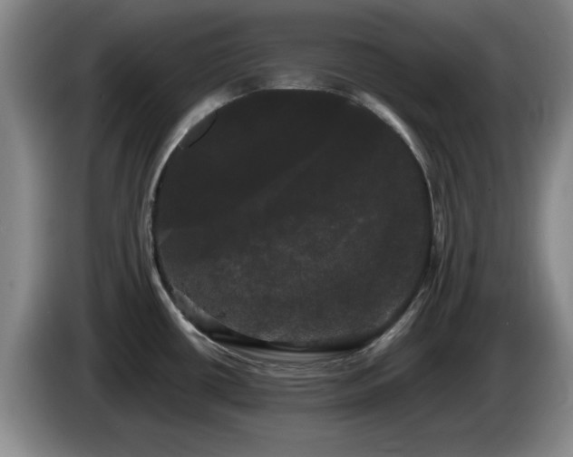 X0000085221434200703091150