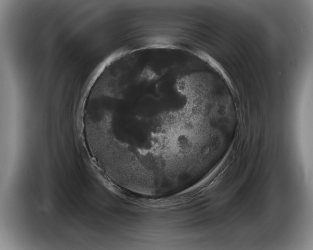 X0000085221435200703091150