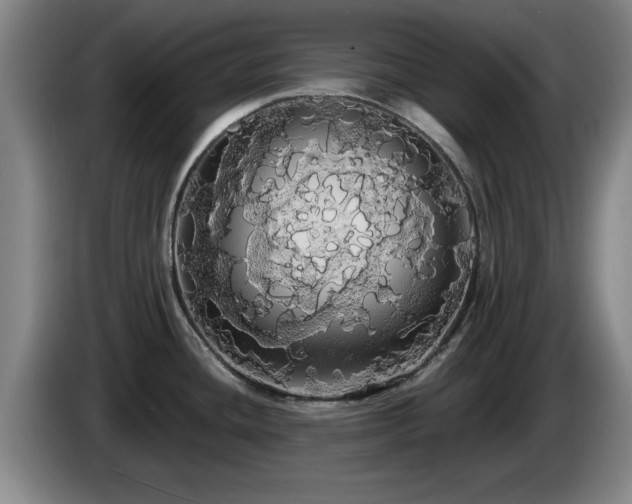 X0000085221436200703091150