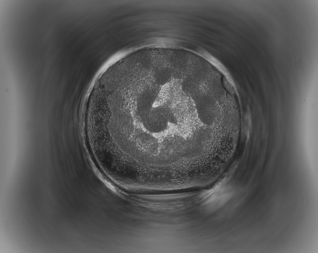 X0000085221437200703091150