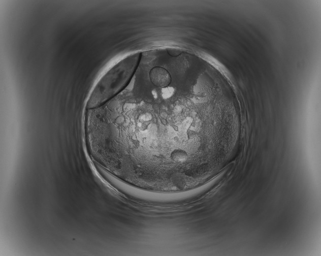 X0000085221439200703091150
