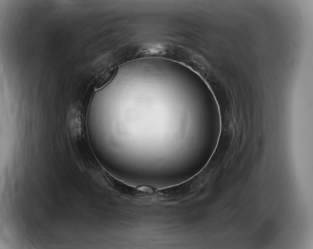 X0000085221442200703091150